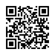 QR Code (код быстрого отклика)