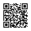 QR Code (код быстрого отклика)