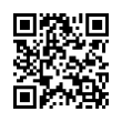 QR Code (код быстрого отклика)