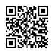 QR Code (код быстрого отклика)