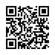 QR Code (код быстрого отклика)