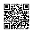 QR Code (код быстрого отклика)
