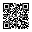 QR Code (код быстрого отклика)