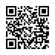 QR Code (код быстрого отклика)