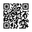 QR Code (код быстрого отклика)
