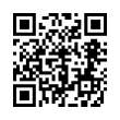QR Code (код быстрого отклика)
