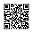 QR Code (код быстрого отклика)