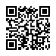 QR Code (код быстрого отклика)