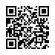 QR Code (код быстрого отклика)