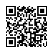 QR Code (код быстрого отклика)