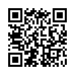 QR Code (код быстрого отклика)