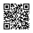 QR Code (код быстрого отклика)