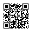 QR Code (код быстрого отклика)