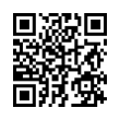 QR Code (код быстрого отклика)