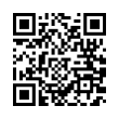 QR Code (код быстрого отклика)