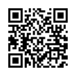 QR Code (код быстрого отклика)