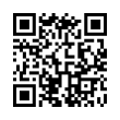 QR Code (код быстрого отклика)