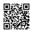 QR Code (код быстрого отклика)