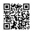 QR Code (код быстрого отклика)