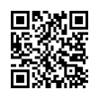 QR Code (код быстрого отклика)
