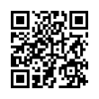 QR Code (код быстрого отклика)