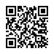 QR Code (код быстрого отклика)