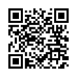 QR Code (код быстрого отклика)