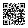 QR Code (код быстрого отклика)