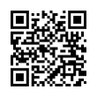 QR Code (код быстрого отклика)
