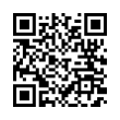 QR Code (код быстрого отклика)