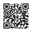 QR Code (код быстрого отклика)