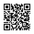 QR Code (код быстрого отклика)