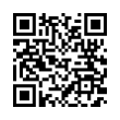 QR Code (код быстрого отклика)