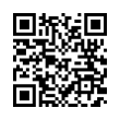 QR Code (код быстрого отклика)