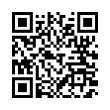 QR Code (код быстрого отклика)