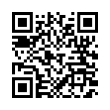 QR Code (код быстрого отклика)