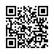 QR Code (код быстрого отклика)