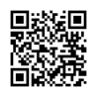 QR Code (код быстрого отклика)