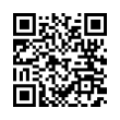 QR Code (код быстрого отклика)