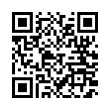 QR Code (код быстрого отклика)