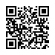 QR Code (код быстрого отклика)