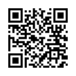 QR Code (код быстрого отклика)