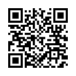 QR Code (код быстрого отклика)