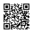 QR Code (код быстрого отклика)