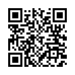 QR Code (код быстрого отклика)