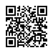 QR Code (код быстрого отклика)