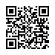 QR Code (код быстрого отклика)