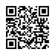 QR Code (код быстрого отклика)