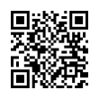 QR Code (код быстрого отклика)