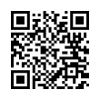 QR Code (код быстрого отклика)